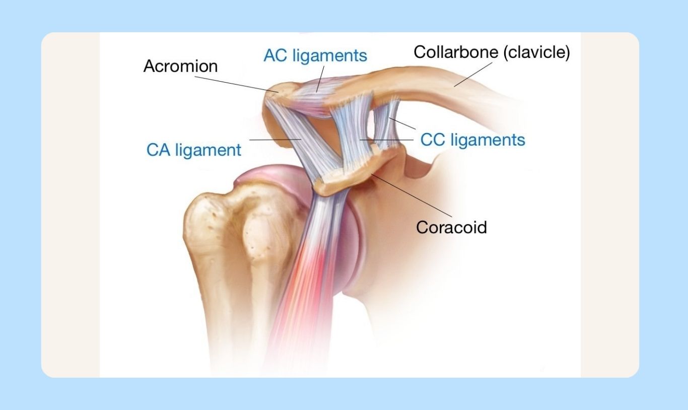 AC Joint Injuries.jpg