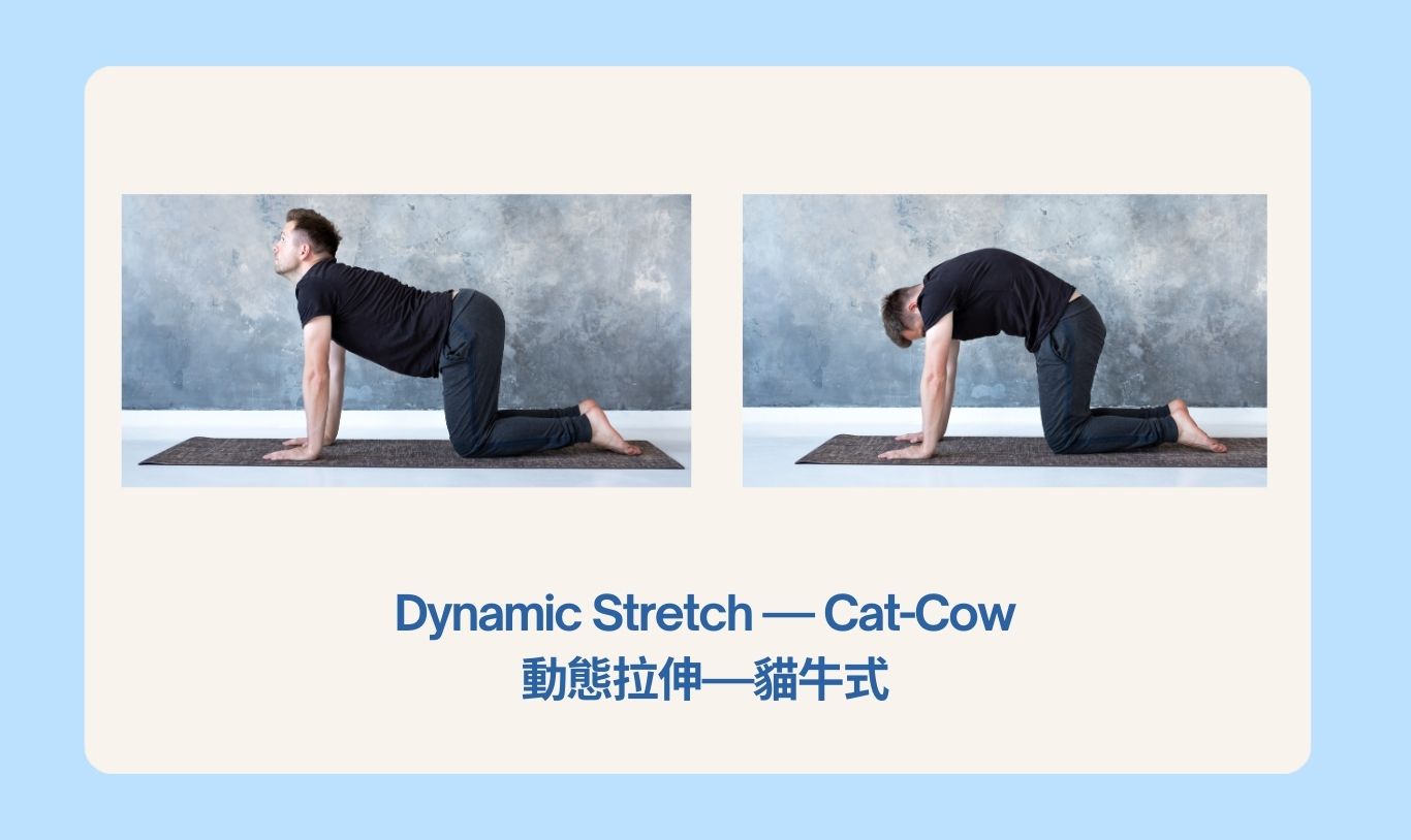6-cat-cow stretch.jpg